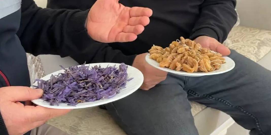 ‘Boşuna uğraşma’ diyenleri utandırdı! Dünyanın en değerlisini yetiştirdi, olmaz denileni başardı: Şimdi elleriyle topluyor 4